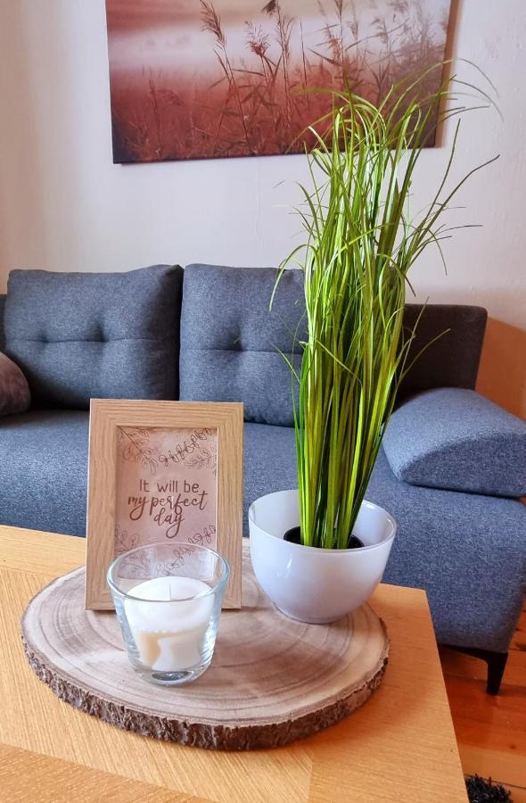 Apartma Metka ボヴェツ エクステリア 写真